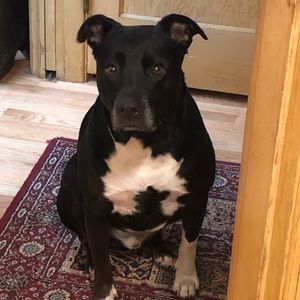 Meet your Posher, Monica